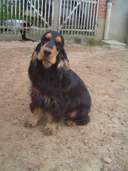Chanelle du pays des longues oreilles